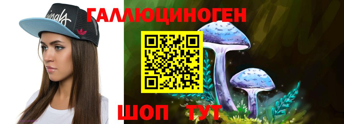 Псилоцибиновые грибы Magic Shrooms  где купить наркоту  Новокуйбышевск  Вход с VPN 